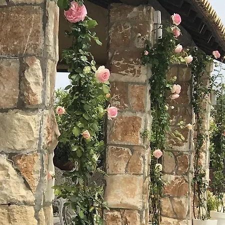 Prázdninový dům Mythos Holidays & Events *